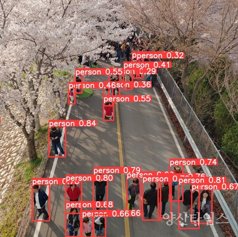 물금 벚꽃길(딥러닝 유동인구 측정 및 분석 예시)ⓒ양산타임스