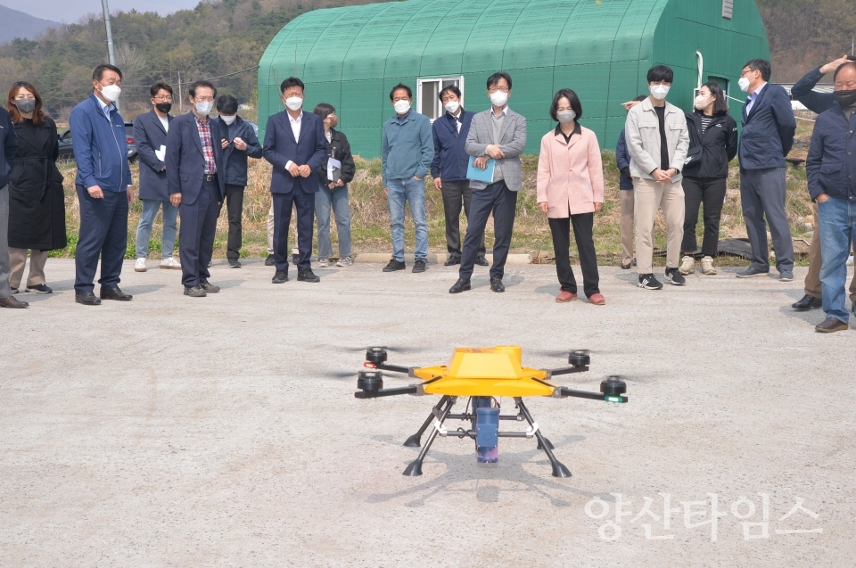 울주군 드론 활용 배꽃 수분 작업실시ⓒ양산타임스