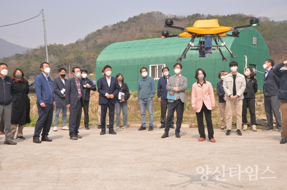 울주군 드론 활용 배꽃 수분 작업실시ⓒ양산타임스