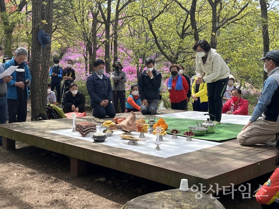 중앙동 동산장성 철쭉제ⓒ양산타임스