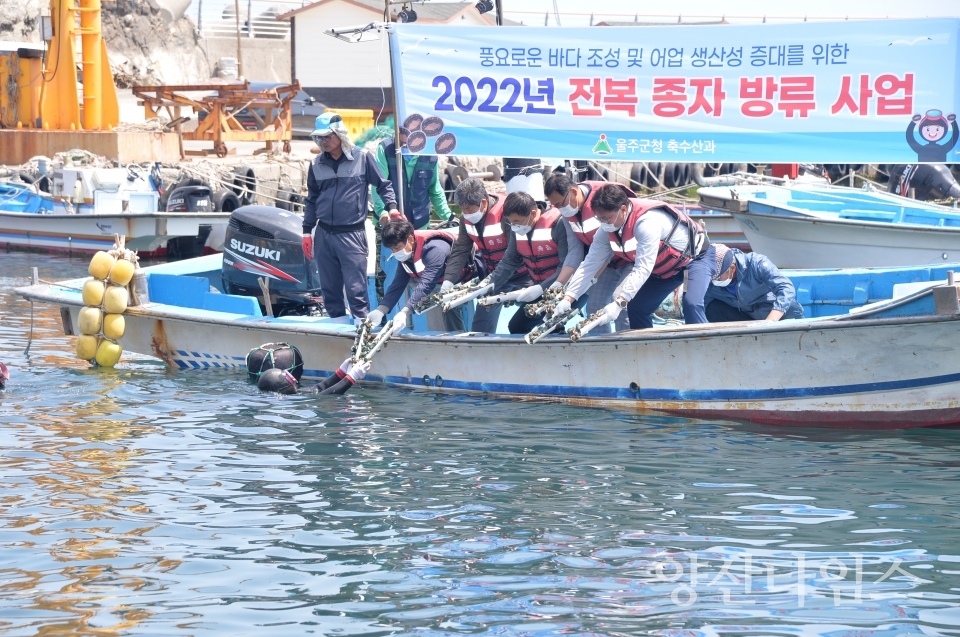 울주군 수산자원 조성 위해 전복 방류ⓒ양산타임스