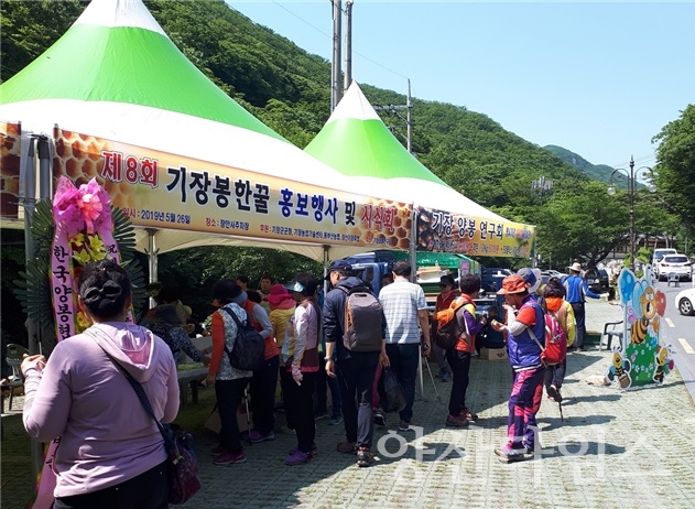 지난 2019년 제8회 기장봉한꿀 홍보행사 관련 사진ⓒ양산타임스