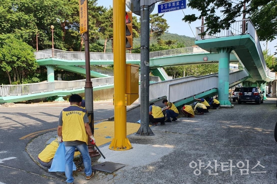 중앙동 주민자치회 청소ⓒ양산타임스
