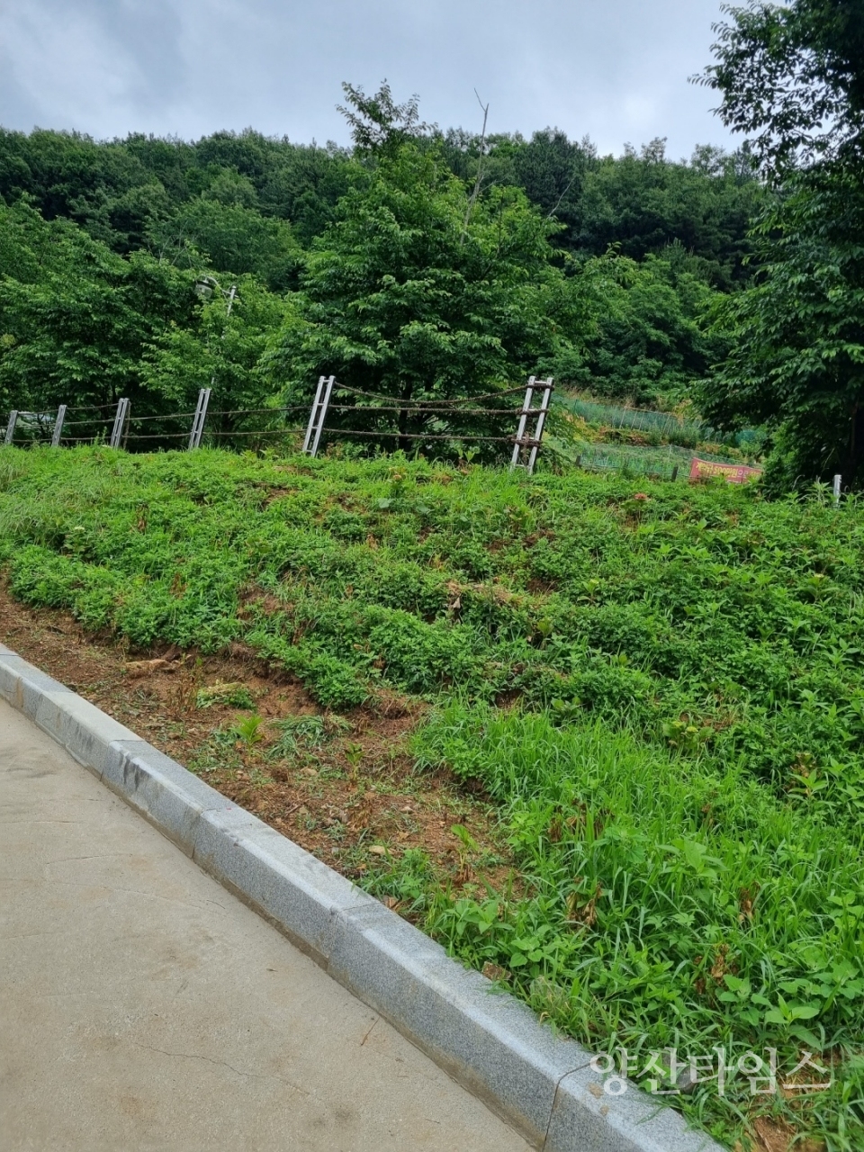 ⓒ양산타임스
