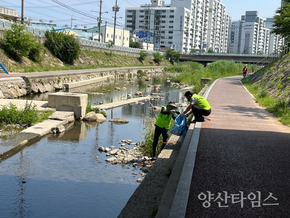 덕계동 회야천변 환경정비ⓒ양산타임스