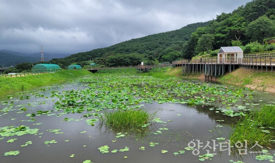 본법마을 생태공원 조성사업ⓒ양산타임스