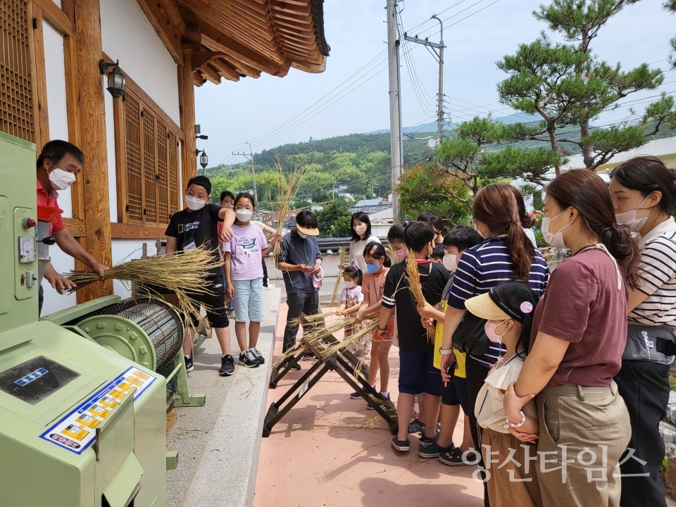 농촌체험관광지원센터 토요프로그램 참가자들이 모내기 체험을 하고 있다" "농촌체험관광지원센터 토요프로그램 참가자들이 농기구를 이용해 벼 탈곡 체험을 하고 있다"ⓒ양산타임스