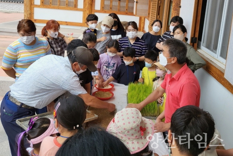 농촌체험관광지원센터 토요프로그램 참가자들이 모내기 체험을 하고 있다" "농촌체험관광지원센터 토요프로그램 참가자들이 농기구를 이용해 벼 탈곡 체험을 하고 있다"ⓒ양산타임스