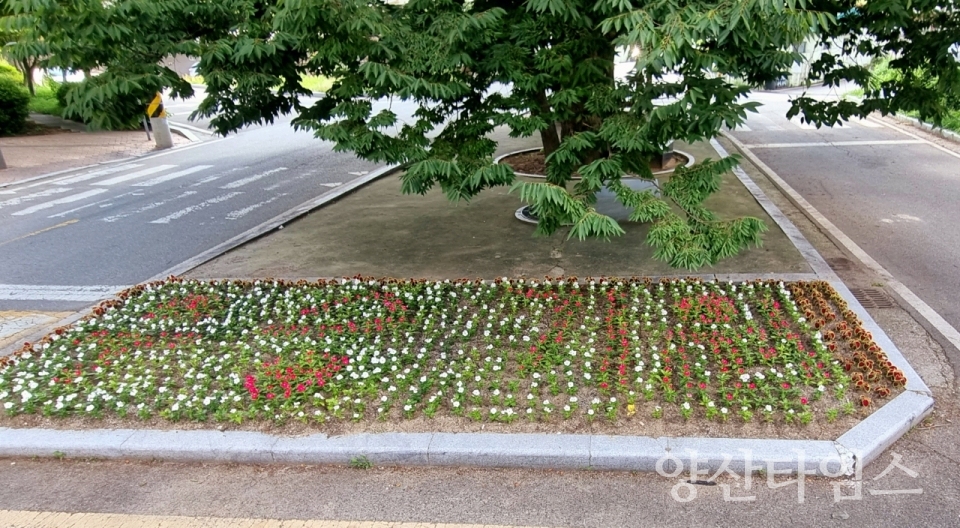 강서동 경남도체 맞이 청소 활동ⓒ양산타임스