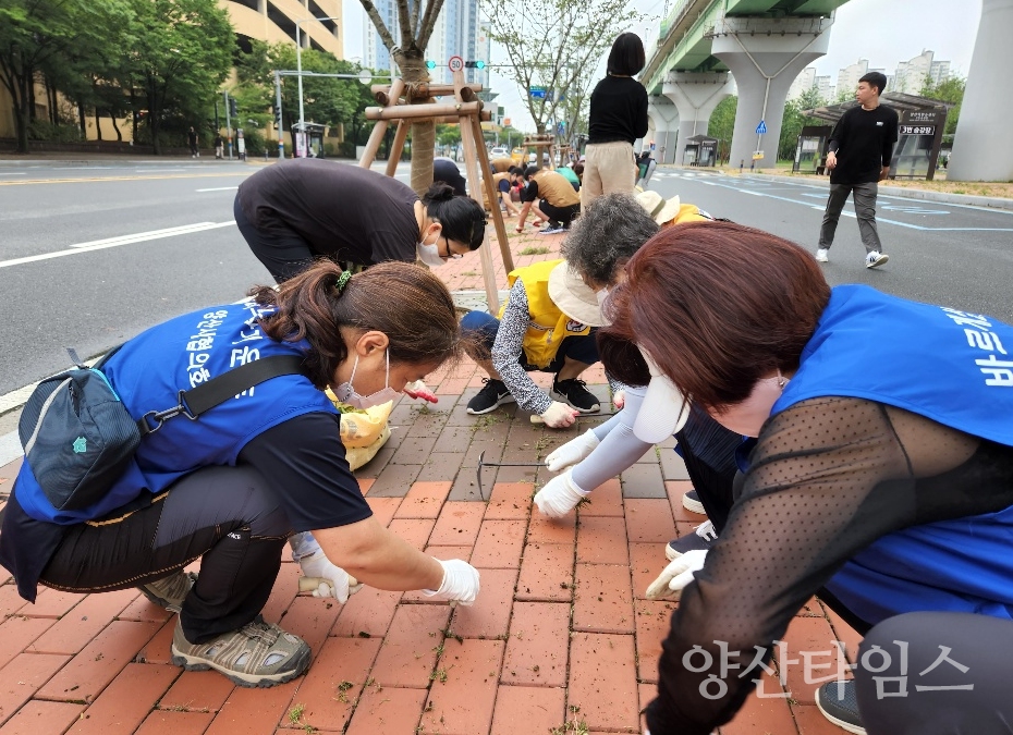 양주동 경남도체 대비 국토대청소ⓒ양산타임스