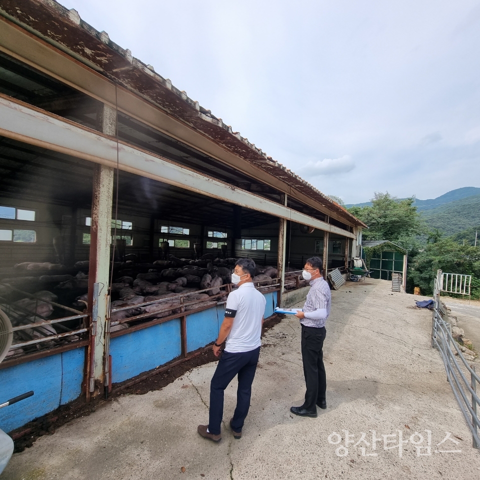 축산농가 악취관리 특별단속ⓒ양산타임스