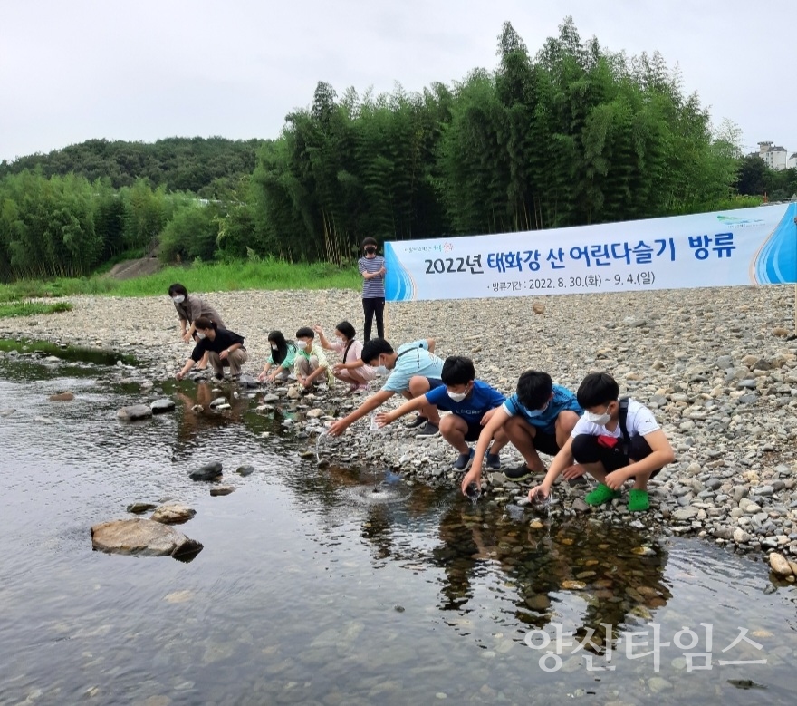 태화강생태관, 태화강산 어린 다슬기 방류체험ⓒ양산타임스