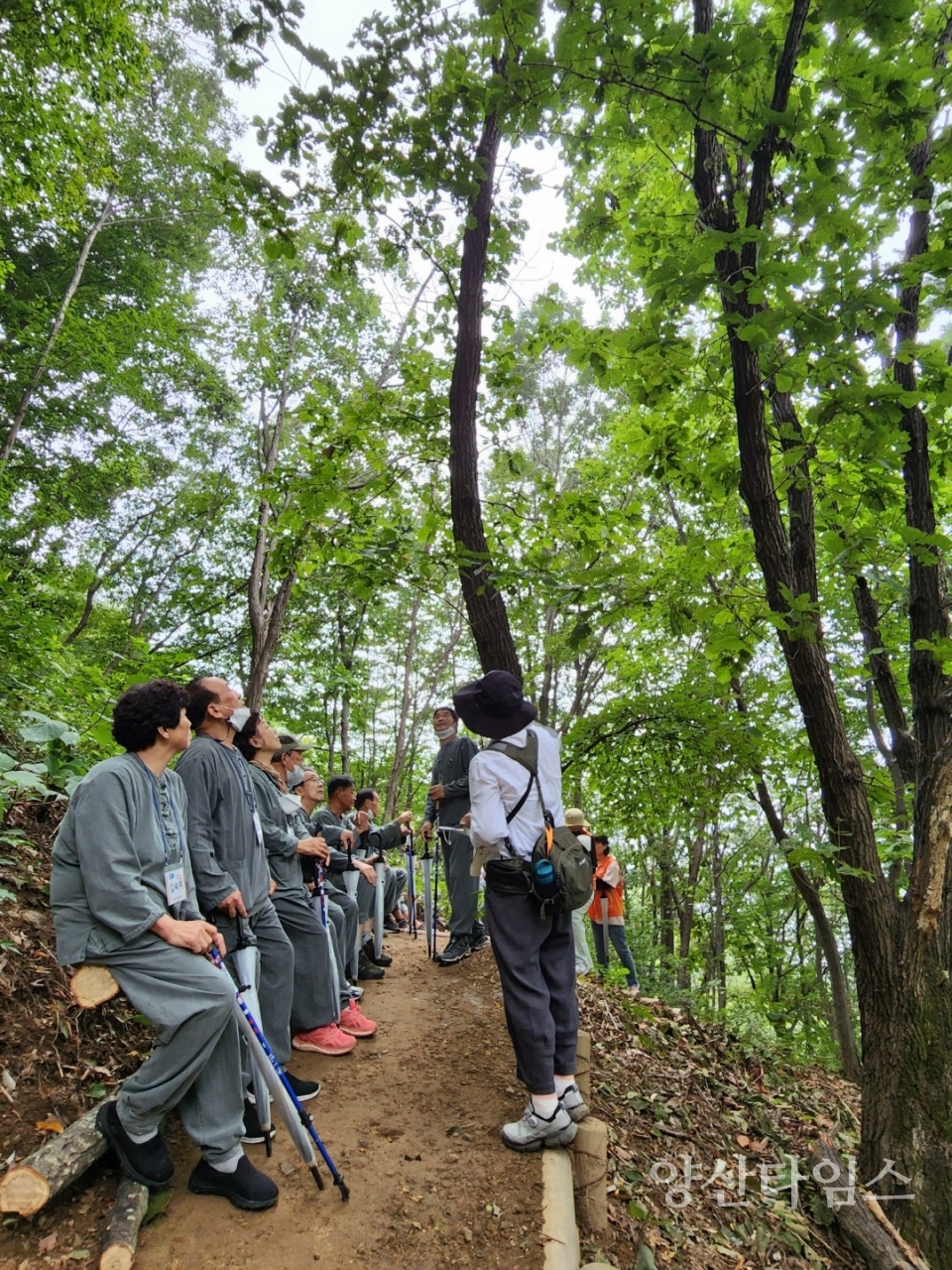산림치유프로그램ⓒ양산타임스