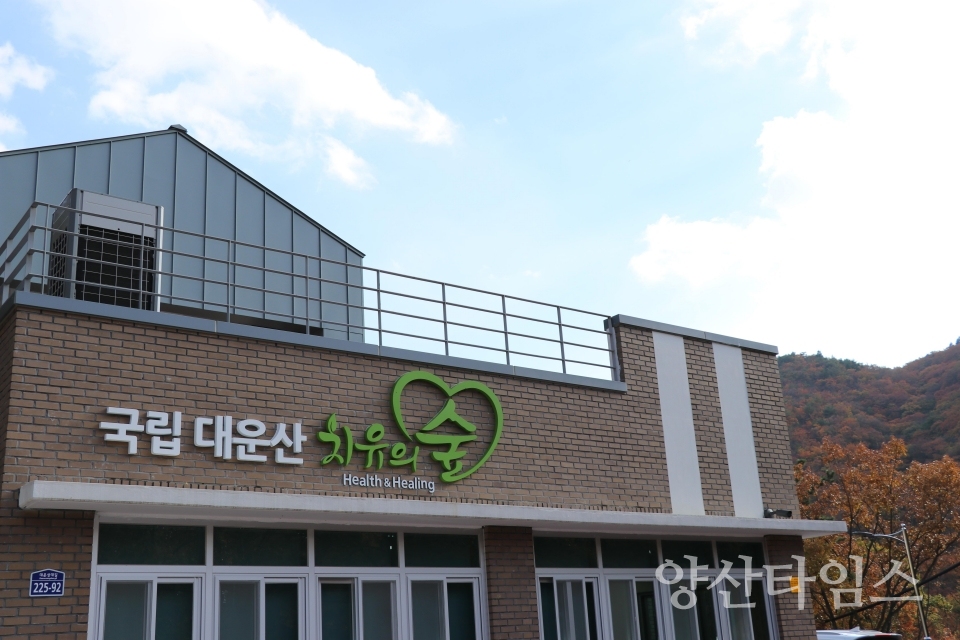 대운산 치유의 숲으로 웰니스 체험하러 오세요ⓒ양산타임스