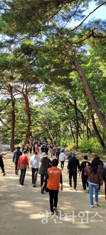 한마음 치매극복 걷기 행사ⓒ양산타임스