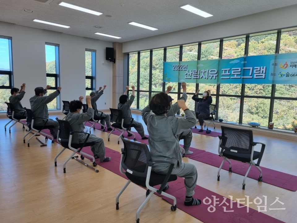 치매안심센터 산림치유 프로그램