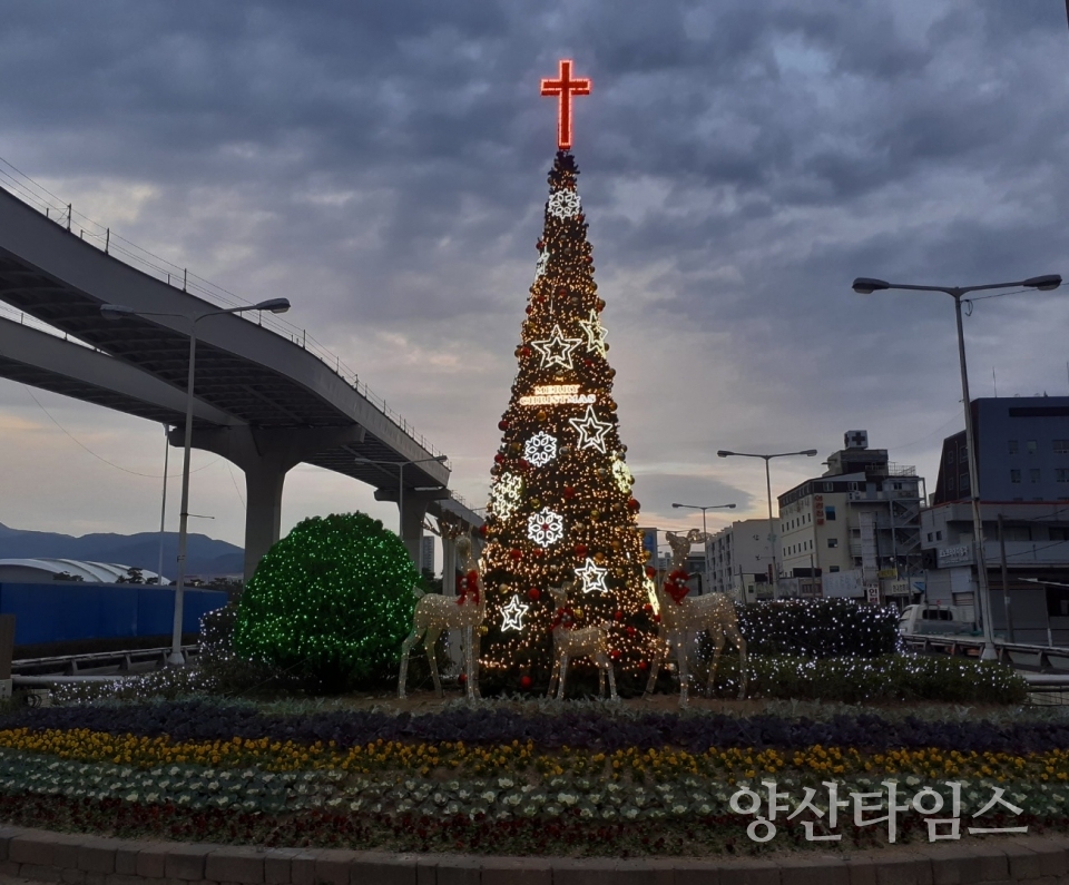 연말연시 성탄 트리(양산종합운동장앞)ⓒ양산타임스