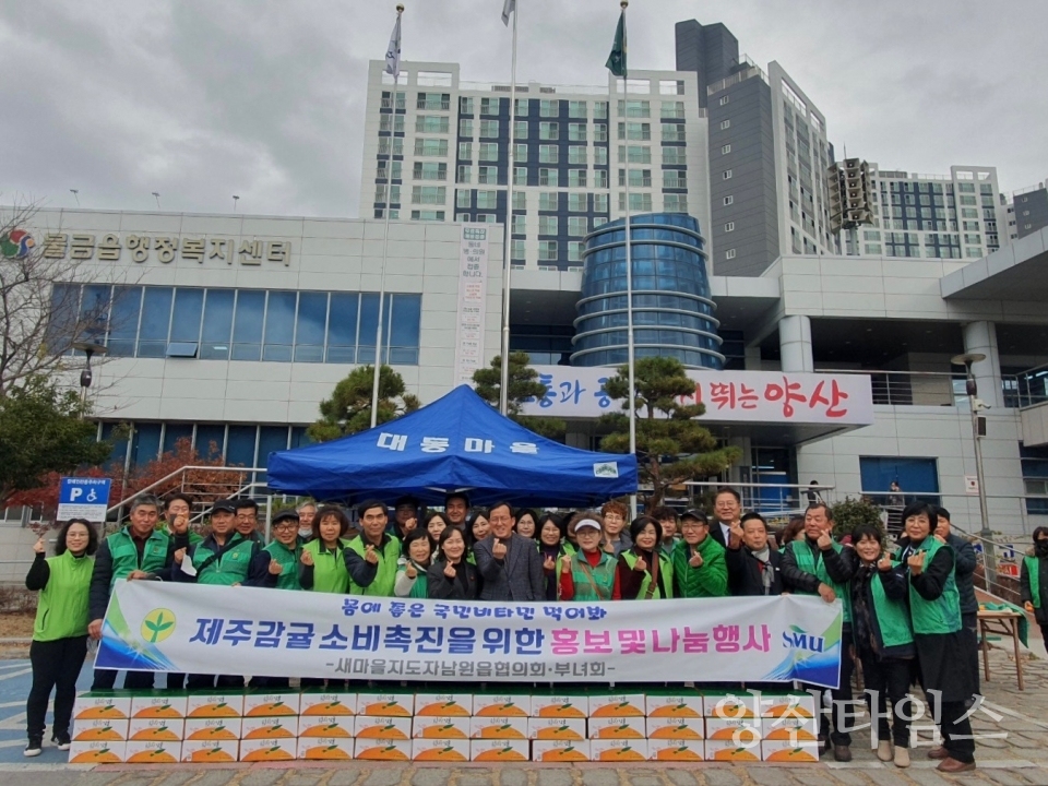 물금읍 새마을 감귤 홍보 나눔행사ⓒ양산타임스