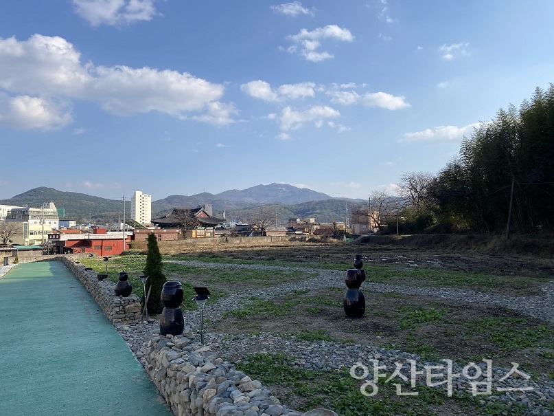 하북면 유채꽃밭 조성ⓒ양산타임스