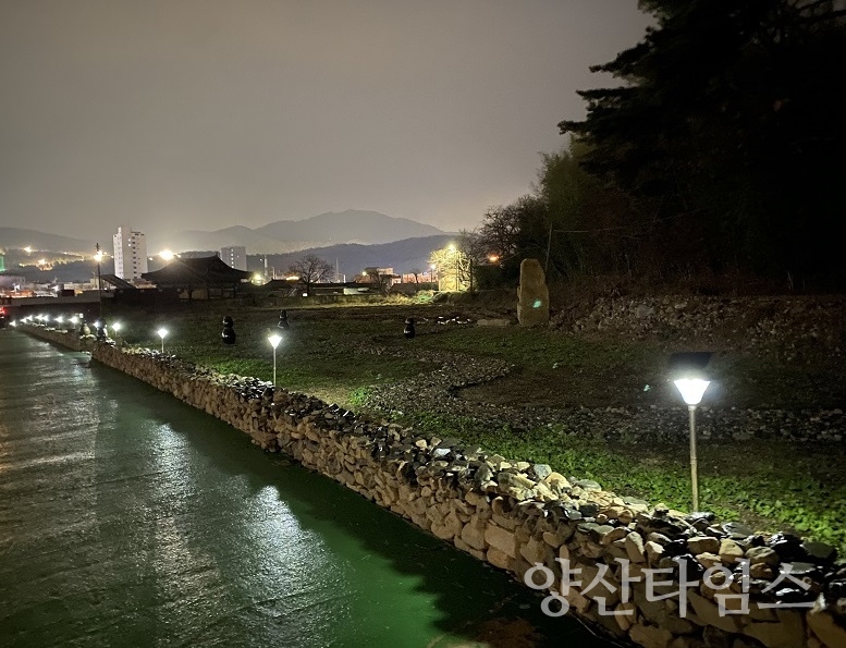 하북면 유채꽃밭 조성ⓒ양산타임스