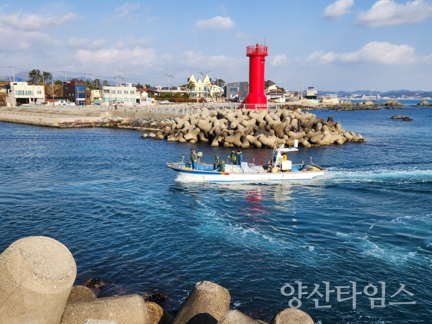기장군 일광면 동백리 해역 일원이 해양수산부 바다숲 조성 사업지 선정되었다
