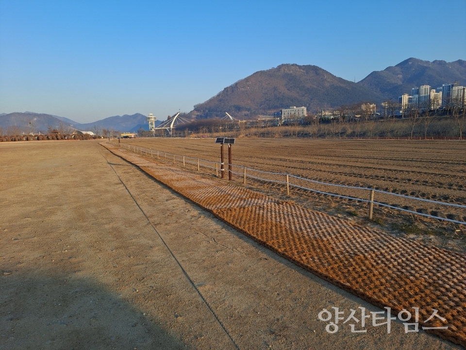 황산공원 중부광장 옆 임시주차장ⓒ양산타임스