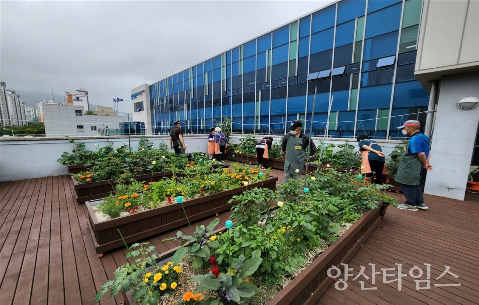 지난해 기장군농업기술센터에서 치매안심센터 이용자를 대상으로 치유농업 프로그램을 진행하고 있다.ⓒ양산타임스