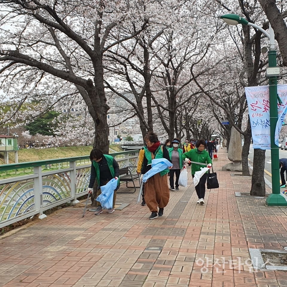 중앙동 국토대청소ⓒ양산타임스