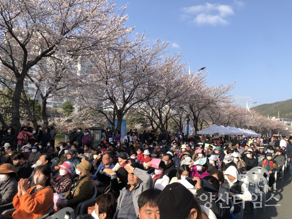 꽃눈 내리는 북부천 축제ⓒ양산타임스