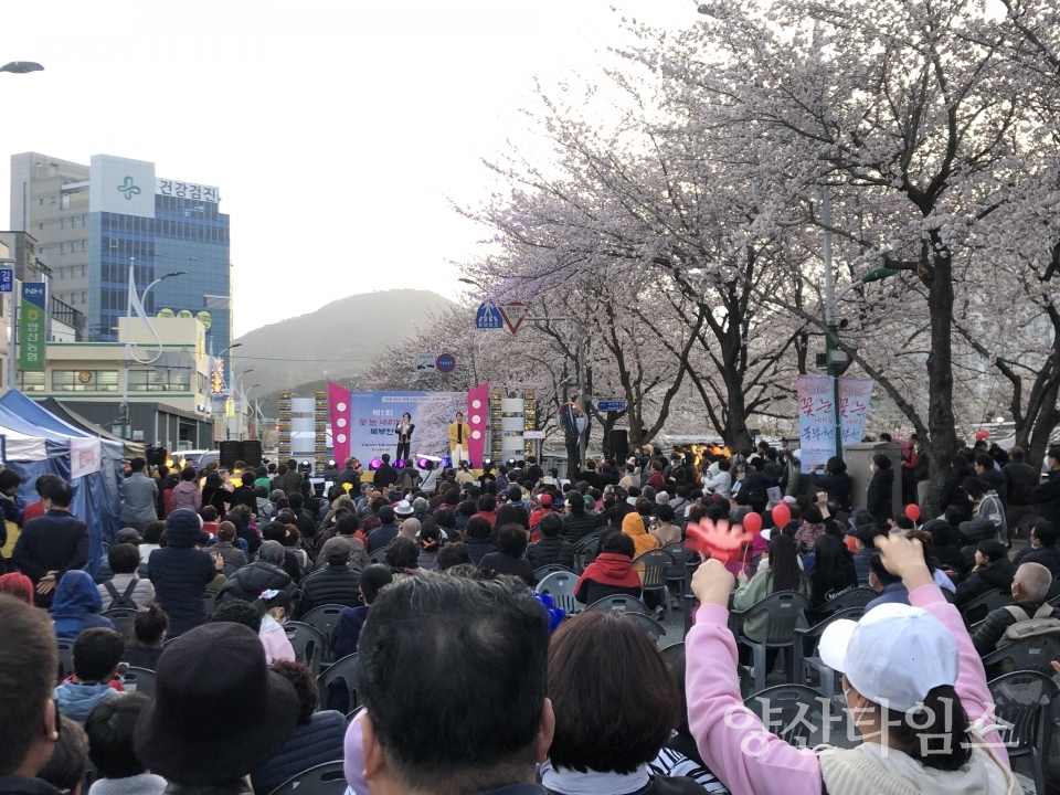 꽃눈 내리는 북부천 축제ⓒ양산타임스