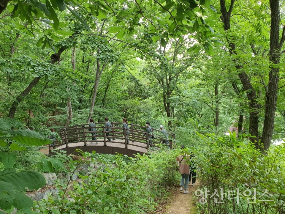 숲애서 치유전문 프로그램ⓒ양산타임스
