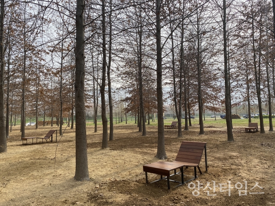 황산공원 힐링 숲 내 선베드ⓒ양산타임스