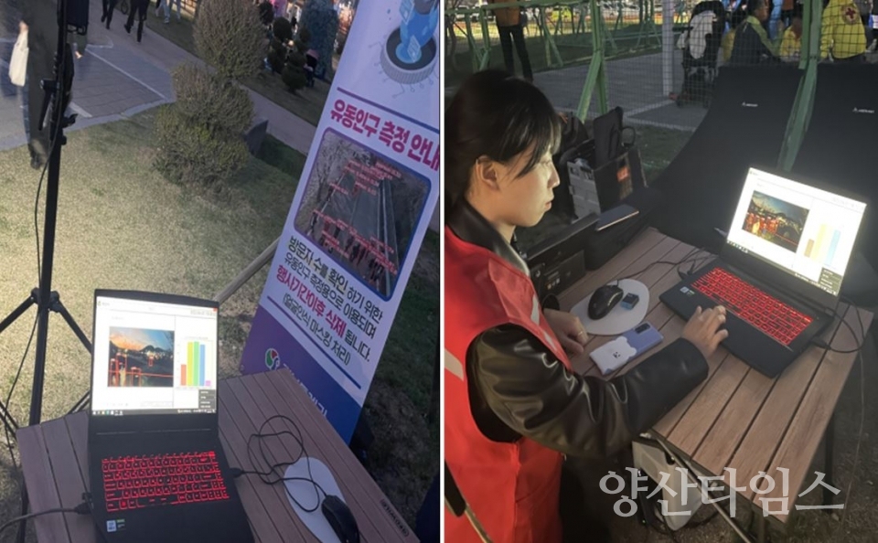 물금 벚꽃길 유동인구 측정