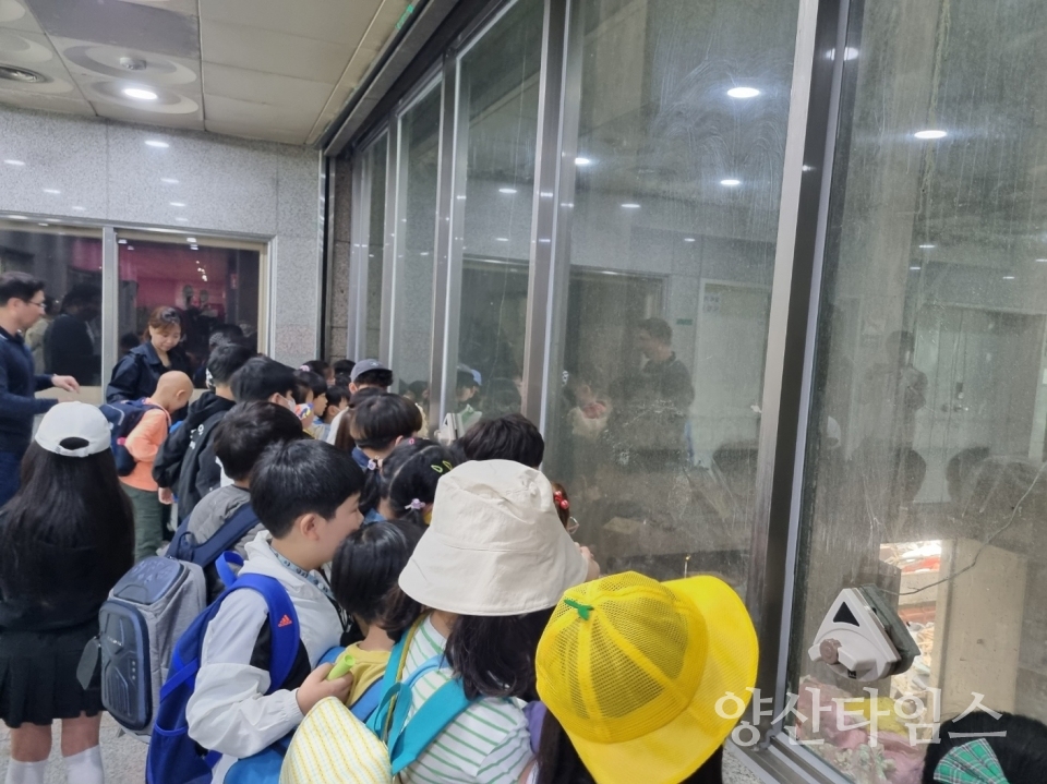 자원순환체험학교ⓒ양산타임스