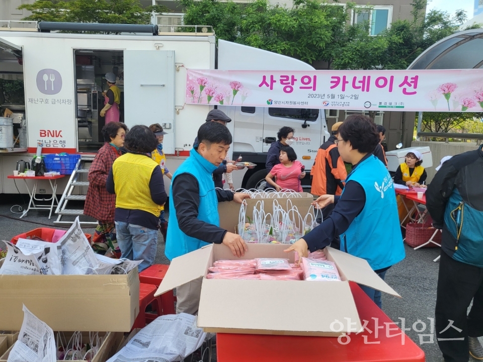 사랑의 카네이션ⓒ양산타임스