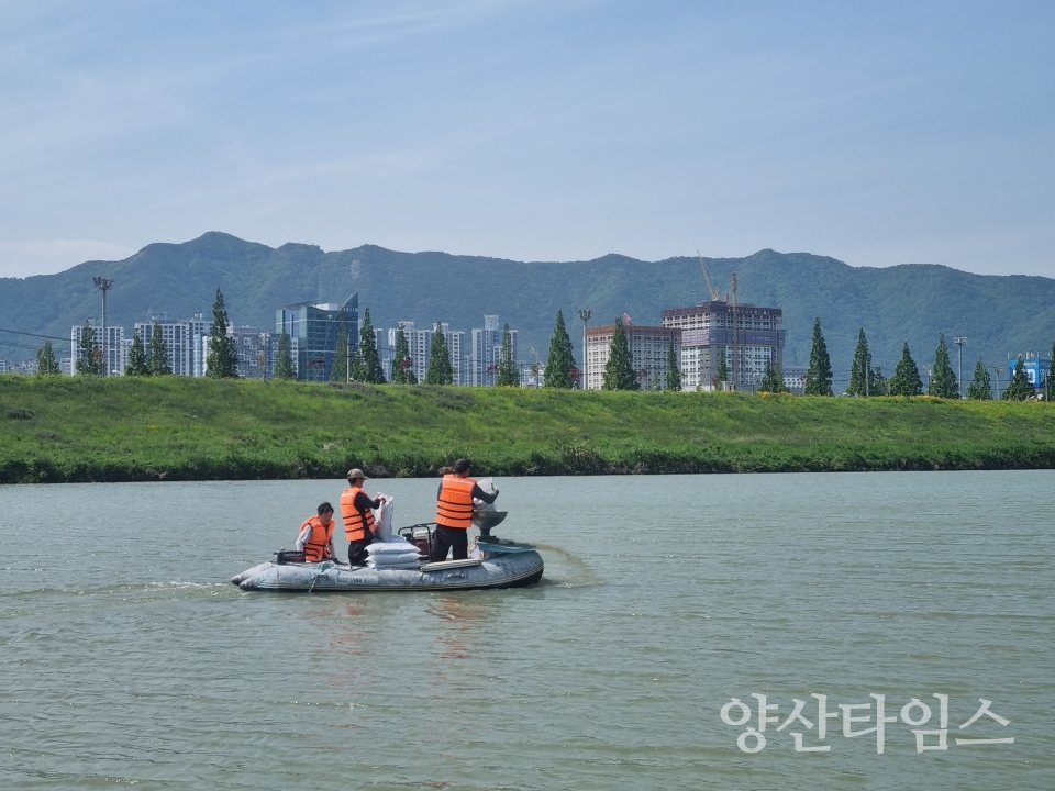 저질개선제 살포ⓒ양산타임스