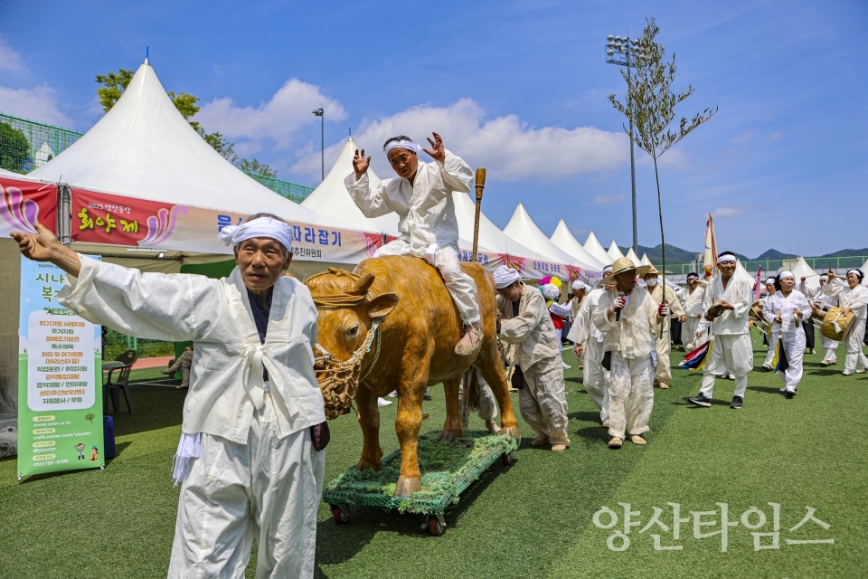 양산웅상회야제ⓒ양산타임스