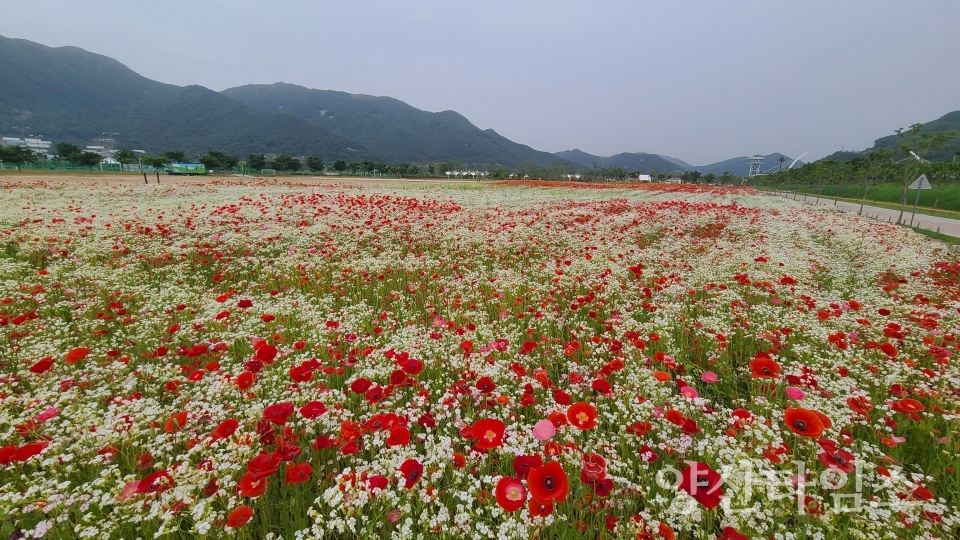 ⓒ양산타임스