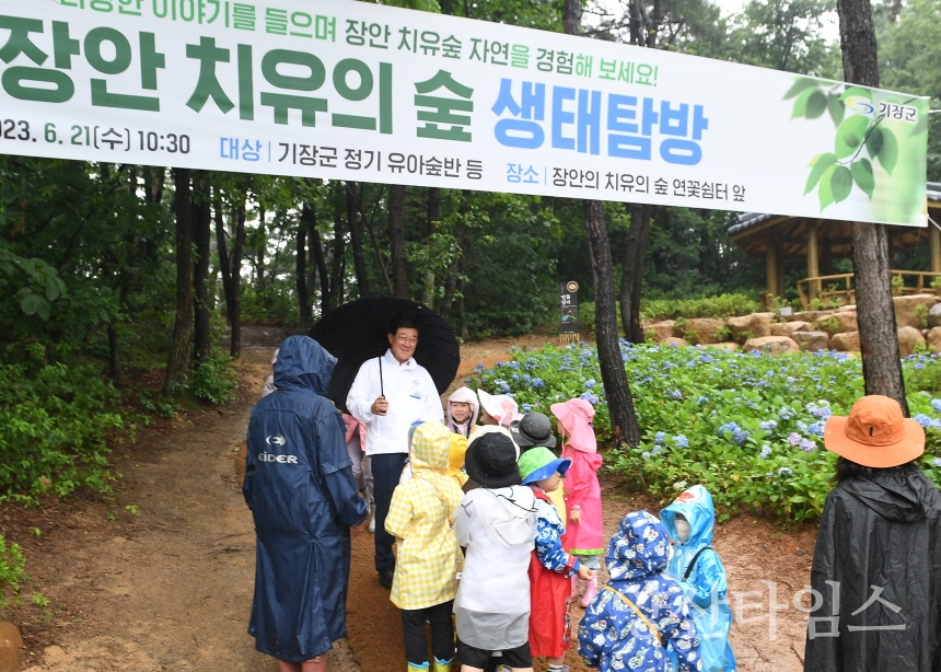 기장군은 장안 치유의 숲에서 유아와 함께하는 생태탐방 프로그램을 운영했다ⓒ양산타임스