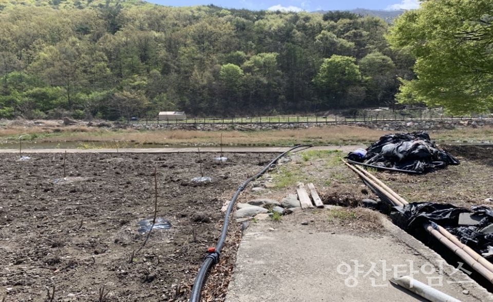 "원동면 소규모수도시설 개량_대리마을 노후 상수관교체" "원동면 소규모수도시설 개량_고점 양지마을" ⓒ양산타임스