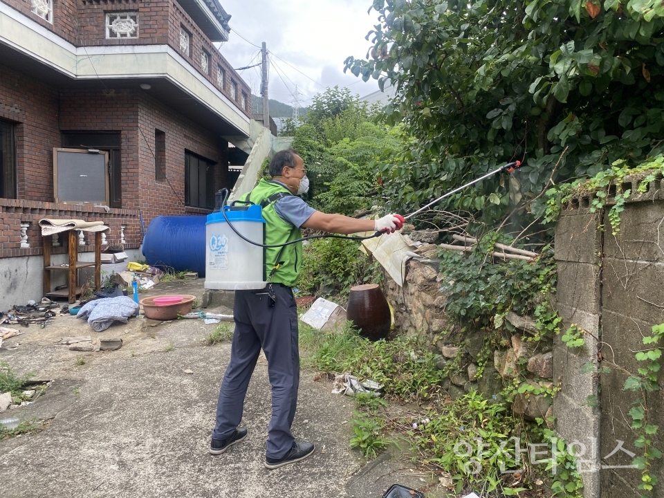 삼성동 해충박멸사업ⓒ양산타임스