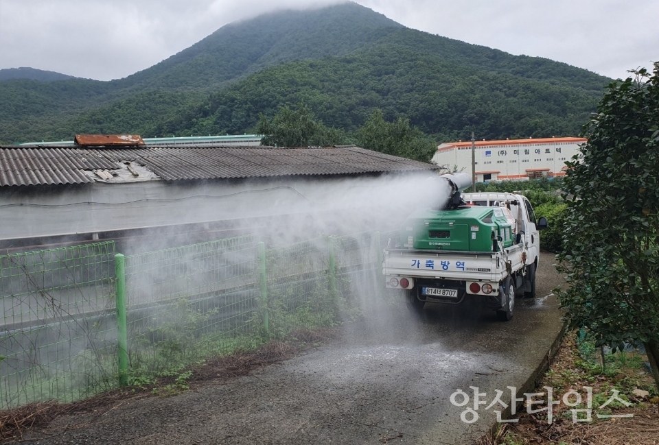 ⓒ양산타임스