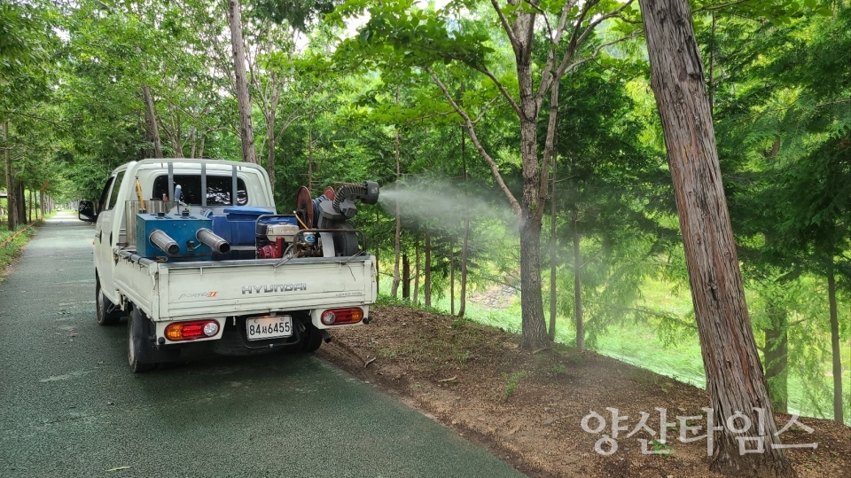 하절기 집중 방역소독ⓒ양산타임스