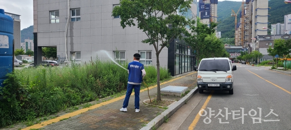 하절기 집중 방역소독ⓒ양산타임스