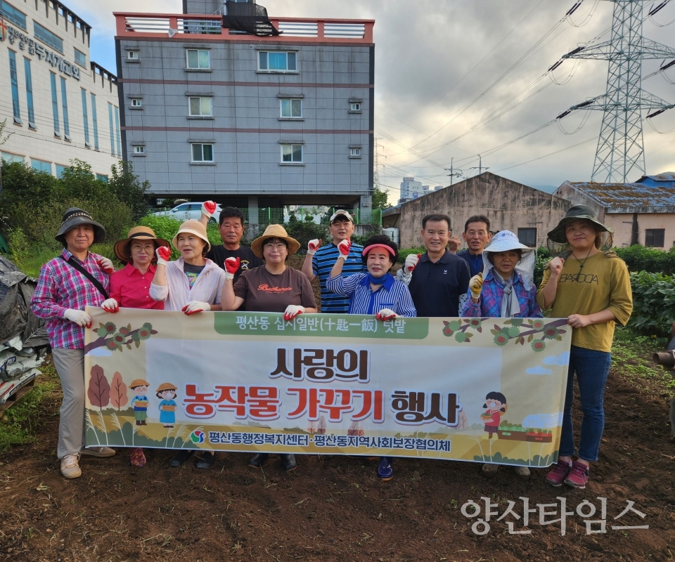 평산동 십시일반 텃밭 무 파종ⓒ양산타임스