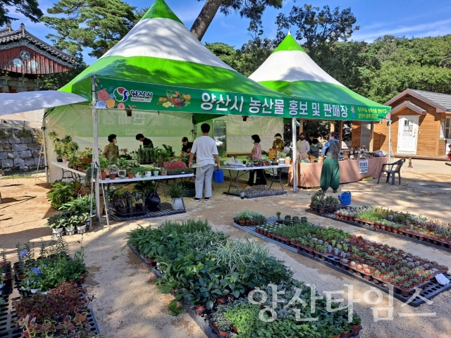 농산물 직거래장터ⓒ양산타임스