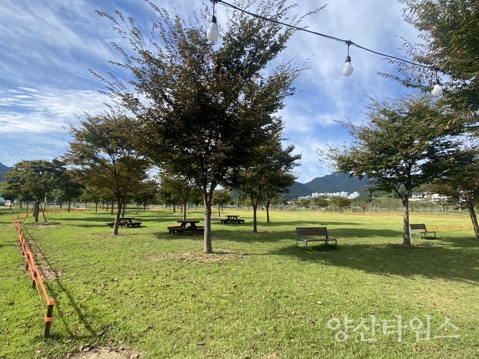 황산공원 무료 캠크닉존ⓒ양산타임스