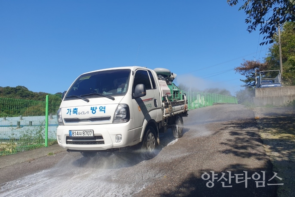 AI 구제역 특별방역대책 추진ⓒ양산타임스