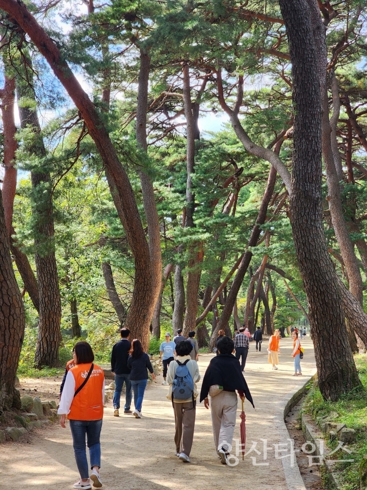 한마음 치매극복 걷기ⓒ양산타임스