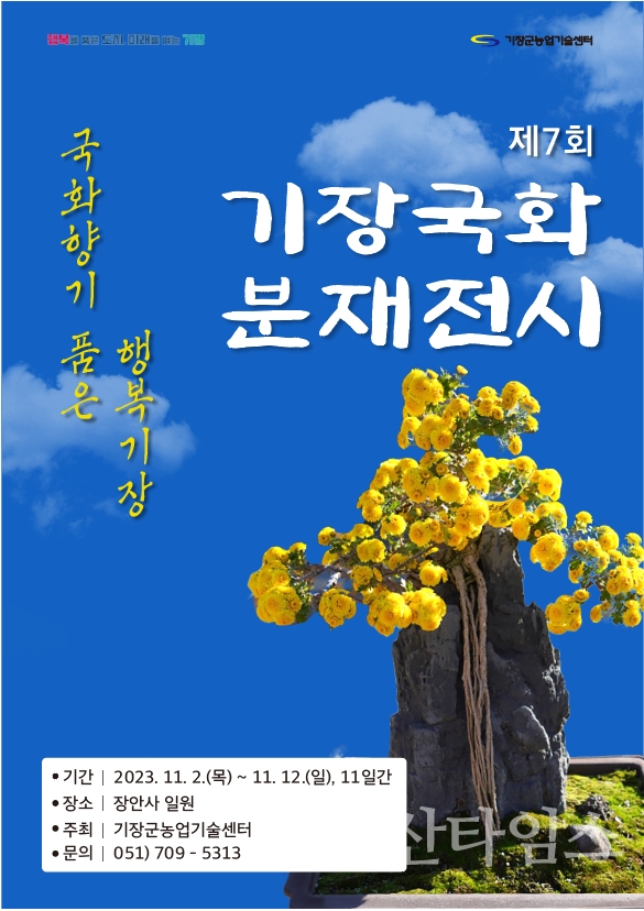 제7회 기장군 국화분재 전시회 안내문ⓒ양산타임스